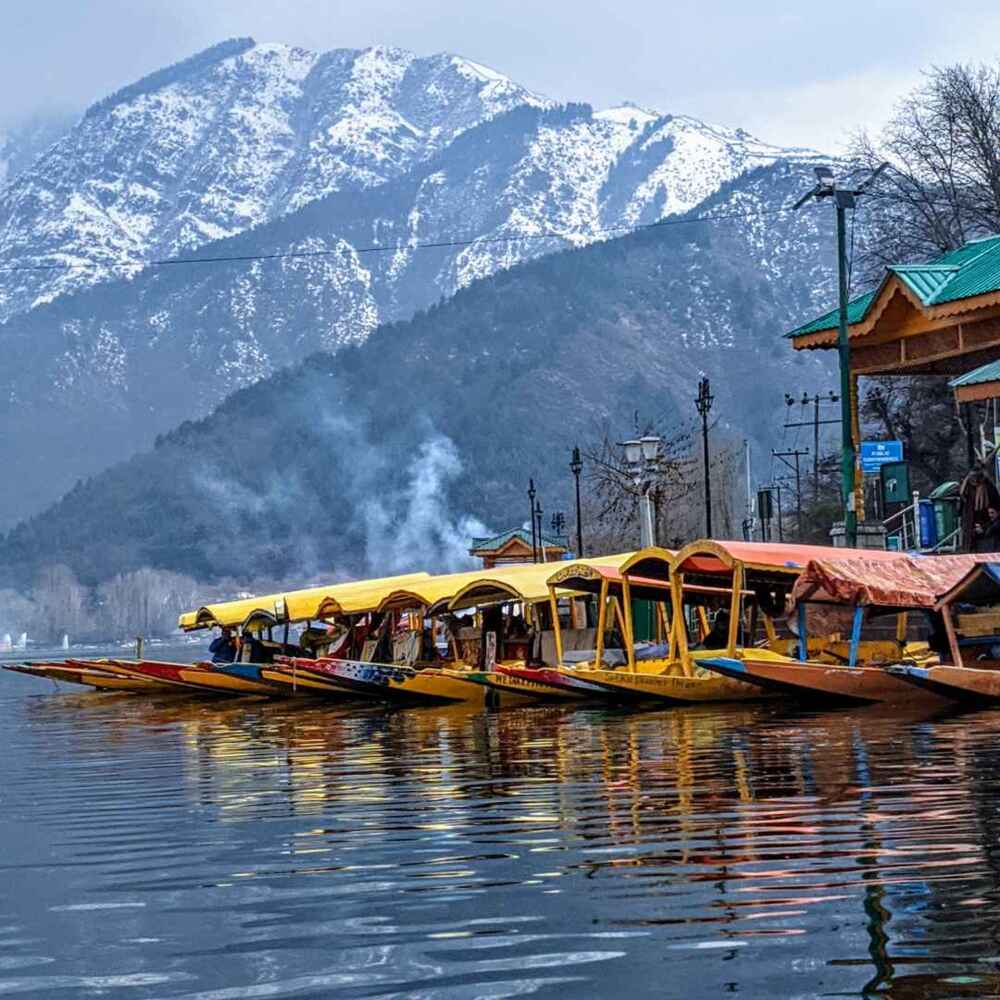 Kashmir
